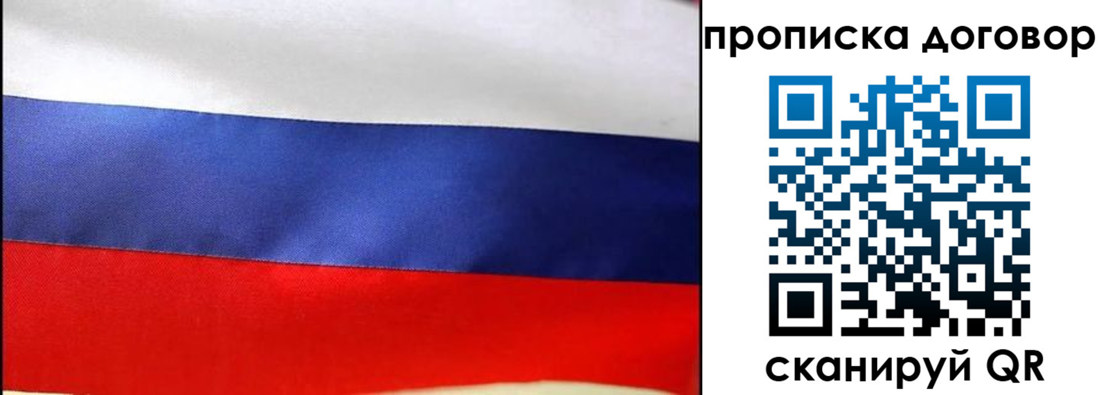 прописка гарантия в Балашихе